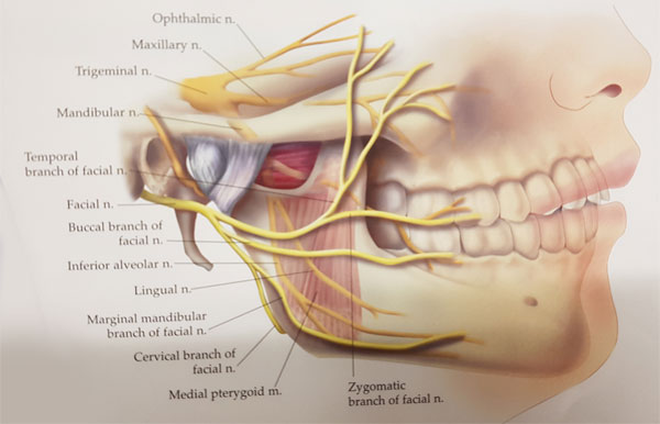 jaw pain